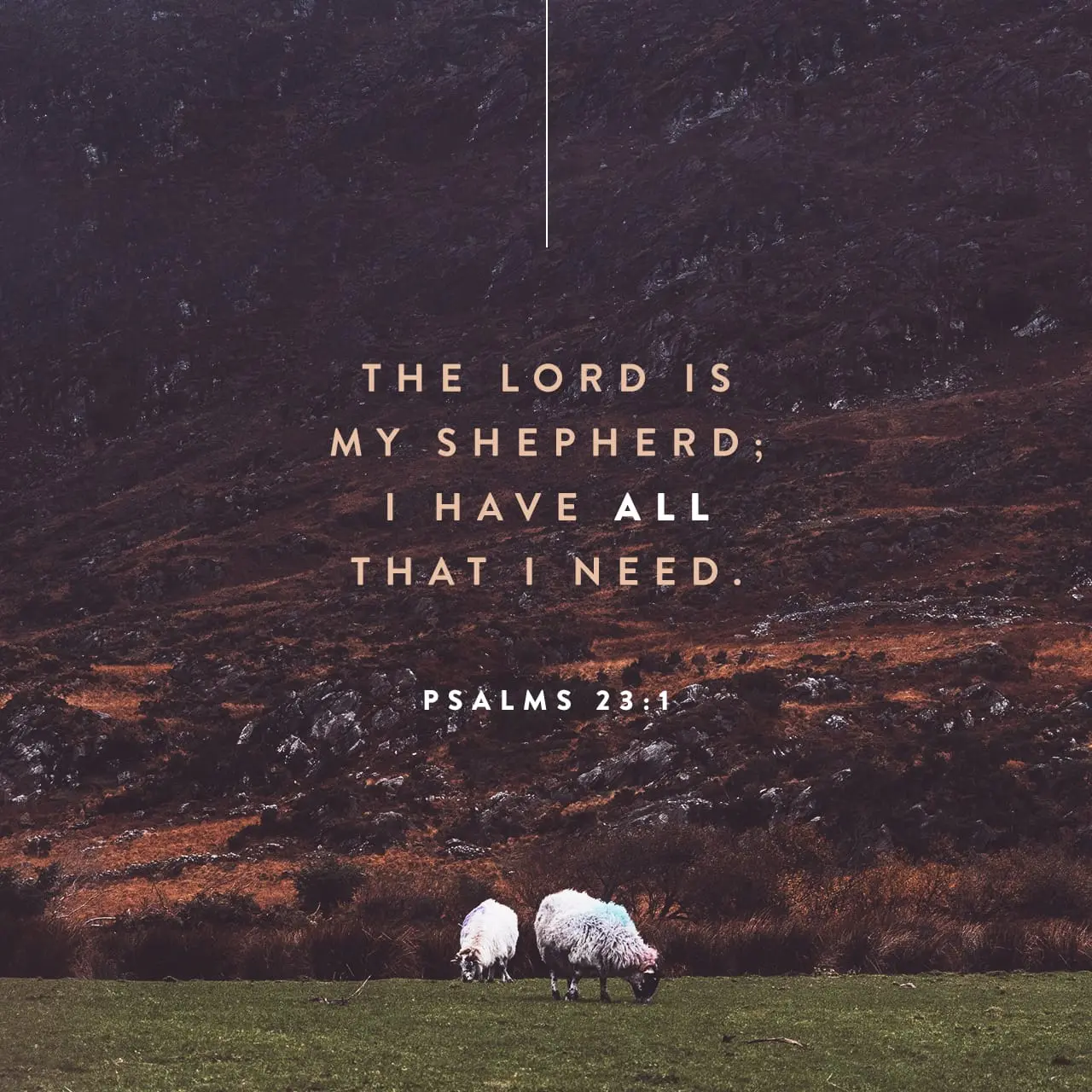 The Lord is my Shepherd; I have all that I need - Psalm 23:1