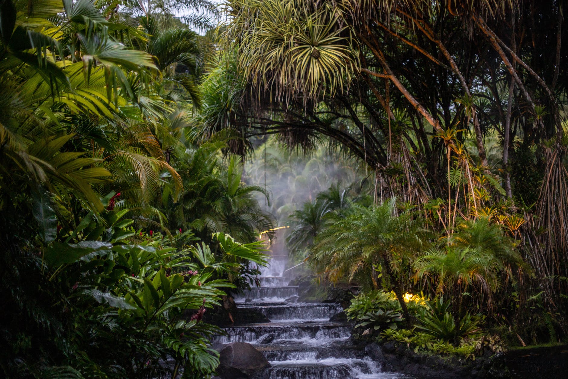 waterfall on steps and palms in a jungle