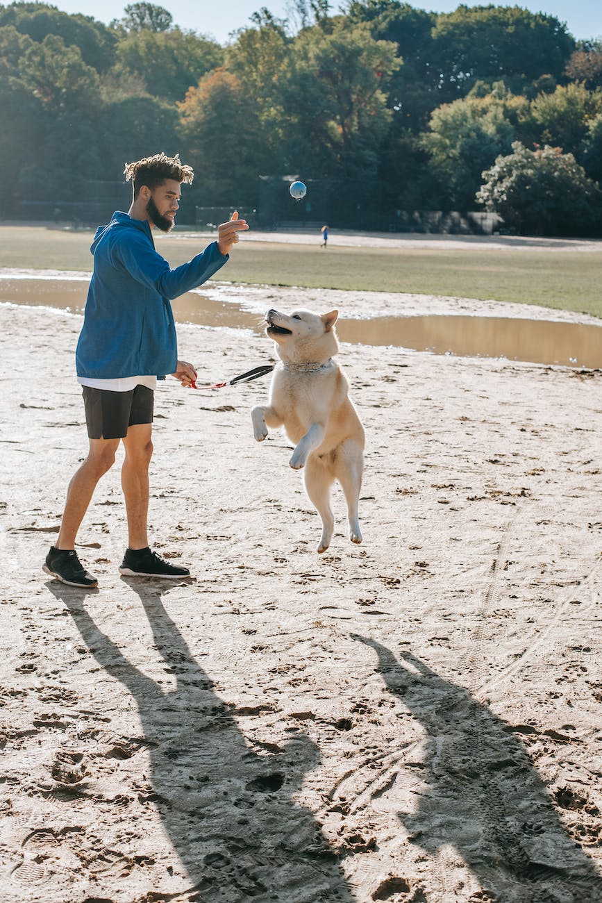 ethnic hipster man throwing ball while playing with jumping dog