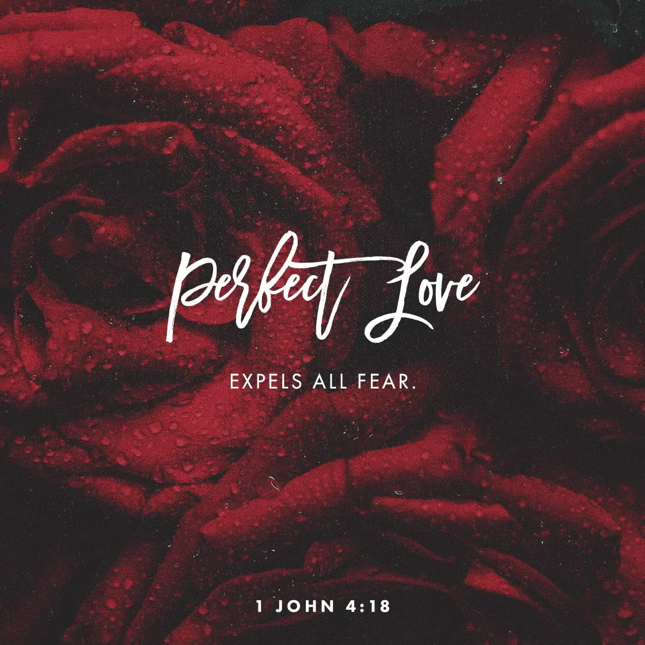 Perfect love expels all fear